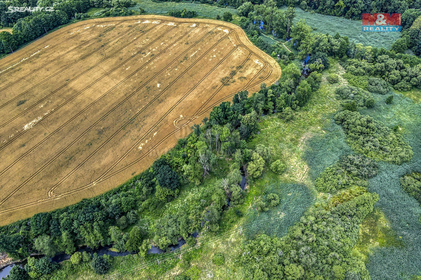 Prodej  lesa 3 698 m², Ždírec, okres Plzeň-jih