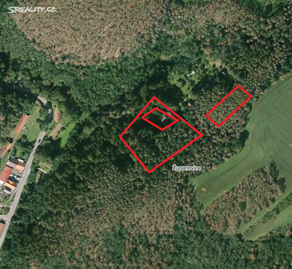 Prodej  lesa 1 986 m², Županovice, okres Příbram