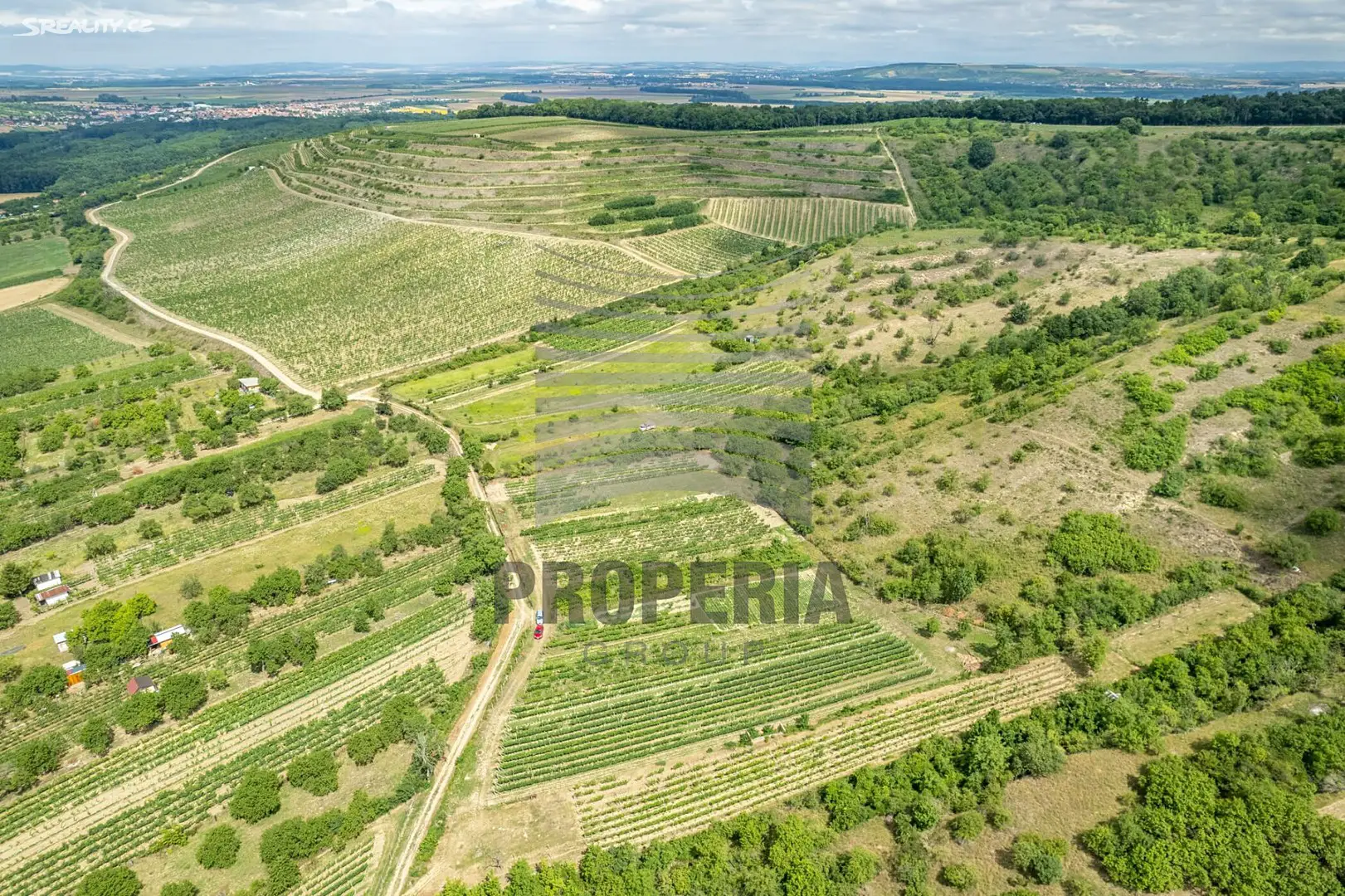 Prodej  sadu, vinice 2 507 m², Pouzdřany, okres Břeclav