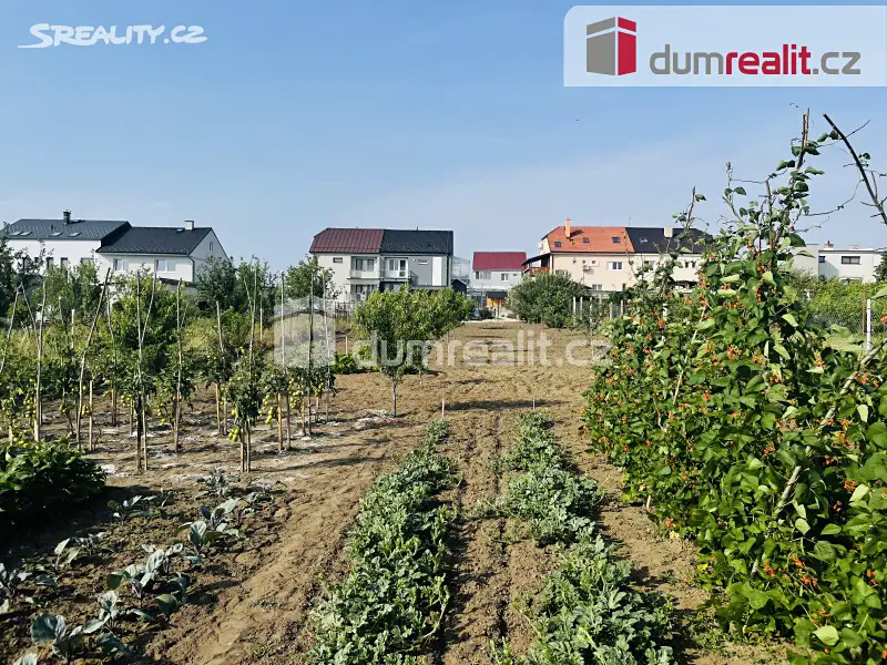 Prodej  zahrady 2 053 m², Lužice, okres Hodonín
