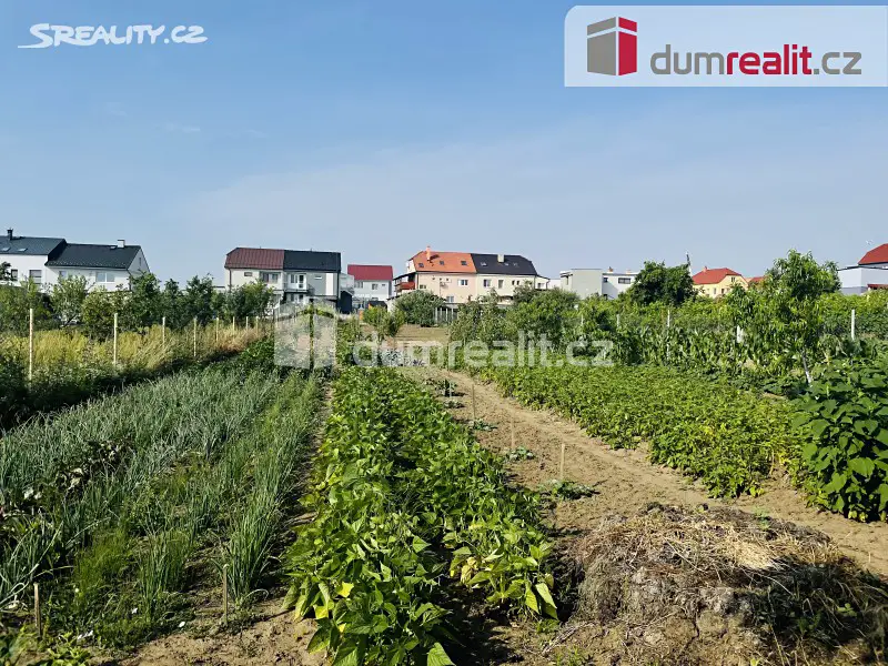 Prodej  zahrady 2 053 m², Lužice, okres Hodonín