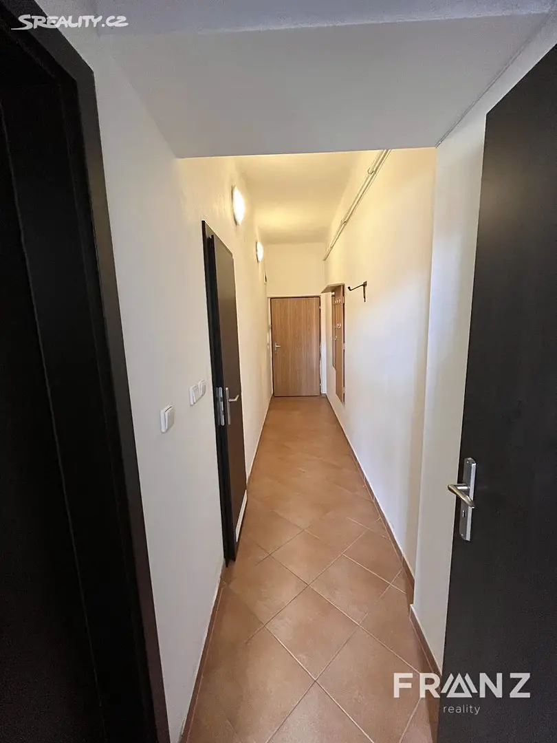Pronájem bytu 1+1 45 m², 28. října, Ostrava - Mariánské Hory