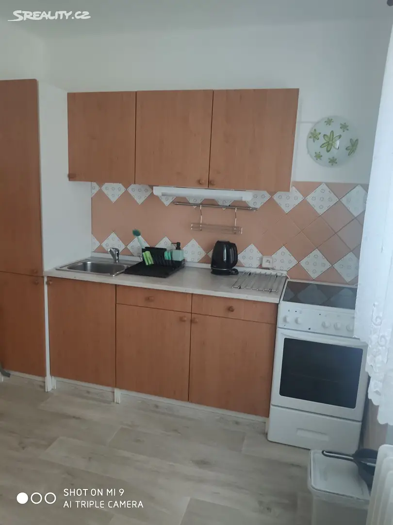 Pronájem bytu 1+1 34 m², Dašická, Pardubice - Bílé Předměstí