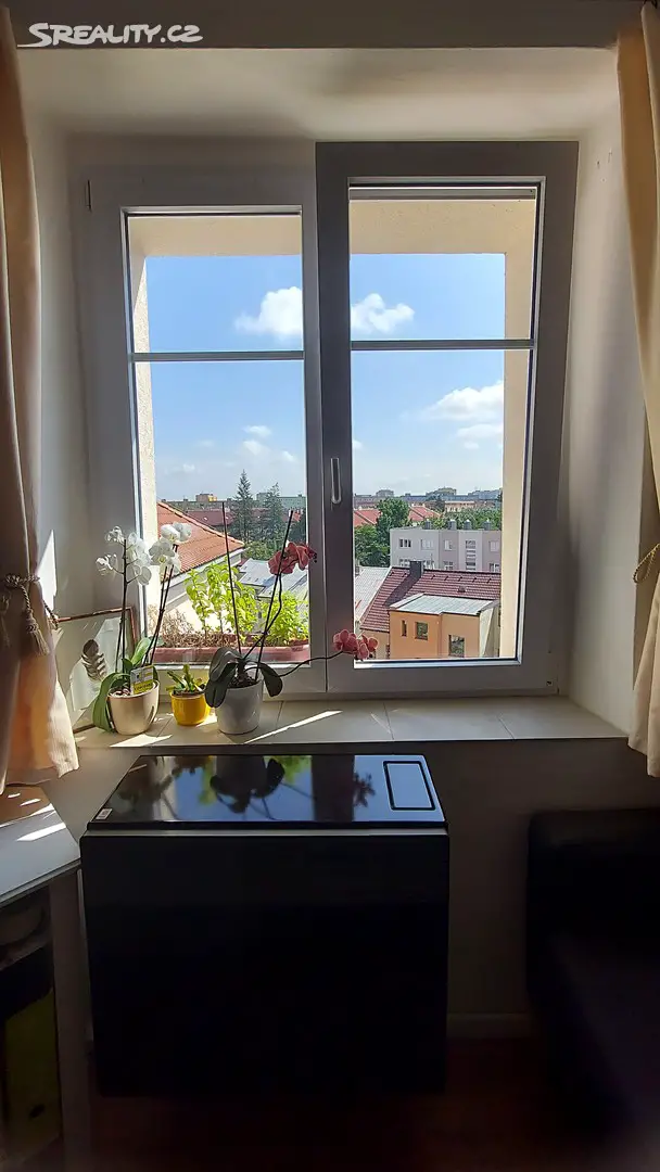 Pronájem bytu 1+1 46 m², Slovanská, Plzeň - Východní Předměstí