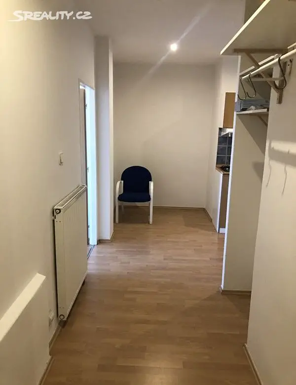 Pronájem bytu 1+1 45 m², Lucemburská, Praha 3 - Žižkov