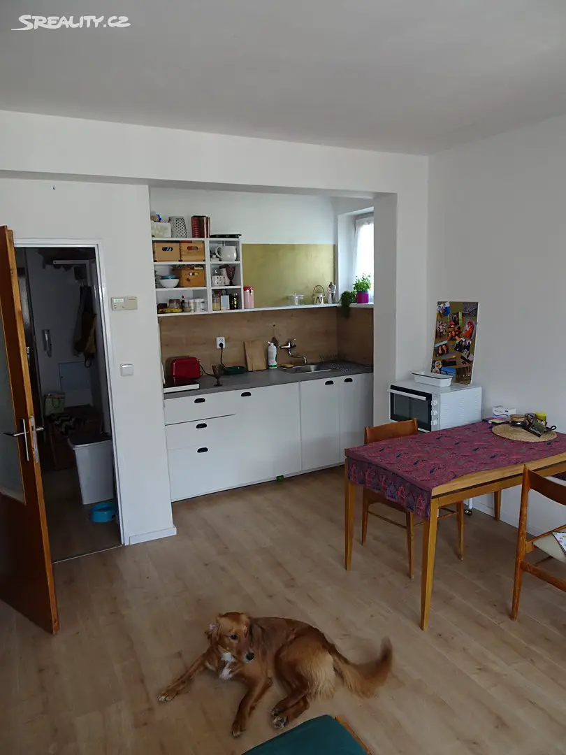 Pronájem bytu 1+kk 28 m², Rezkova, Brno - Stránice