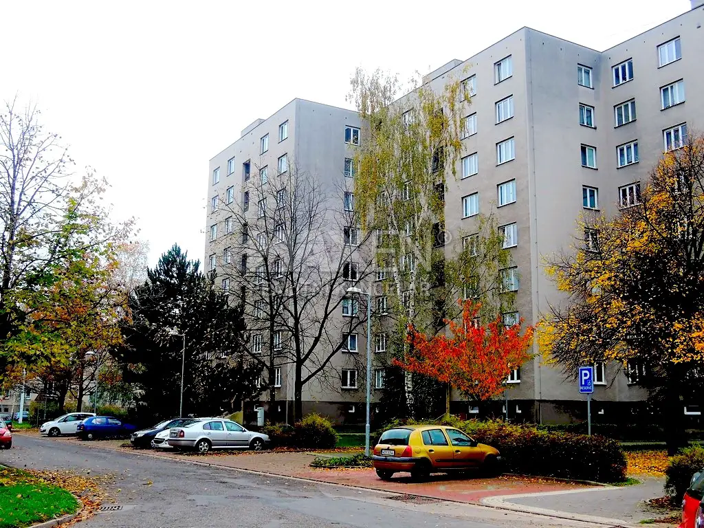 Pronájem bytu 2+1 55 m², Bezdíčkova, Pardubice - Bílé Předměstí