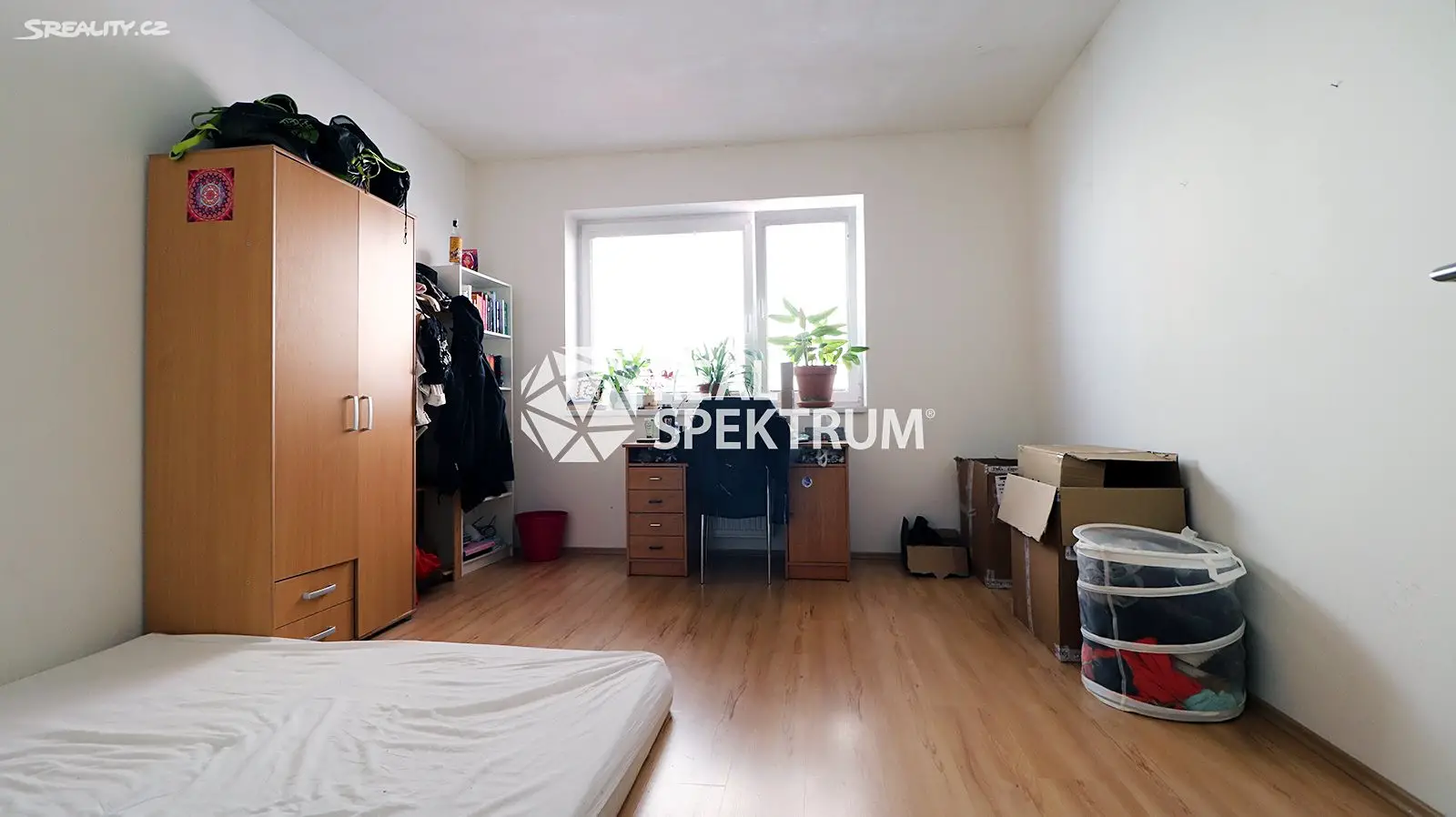 Pronájem bytu 3+1 76 m², Klíčova, Brno - Černovice