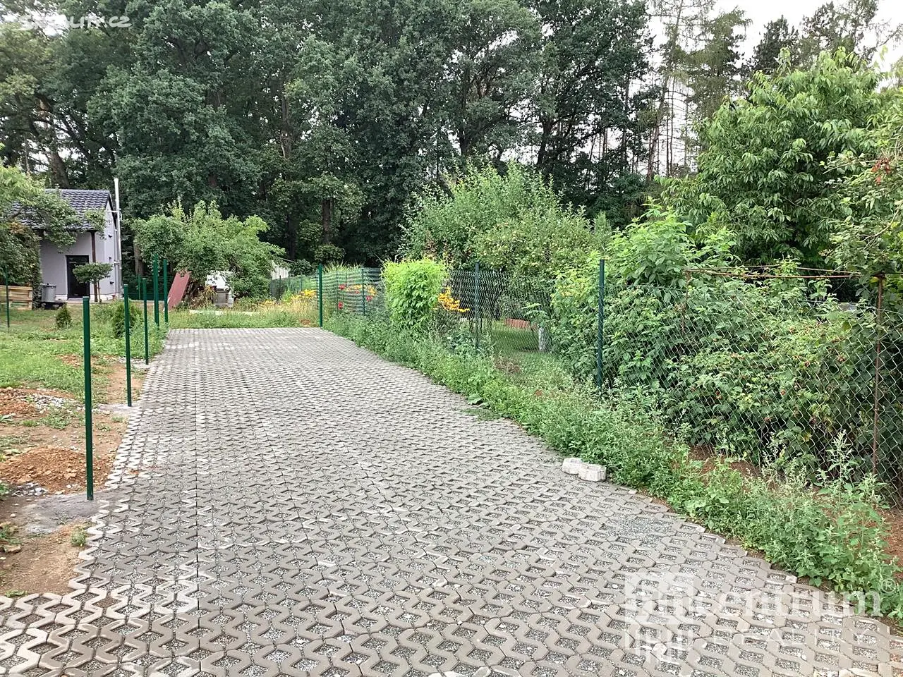 Pronájem  zahrady 300 m², Plzeň, okres Plzeň-město