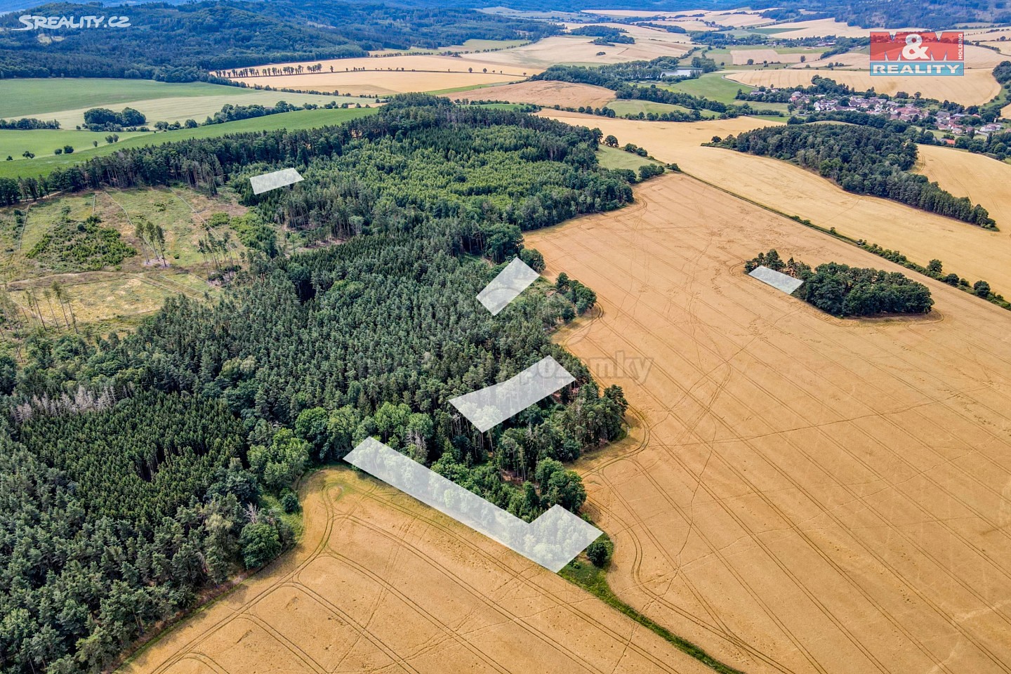 Prodej  lesa 8 784 m², Únějovice, okres Domažlice