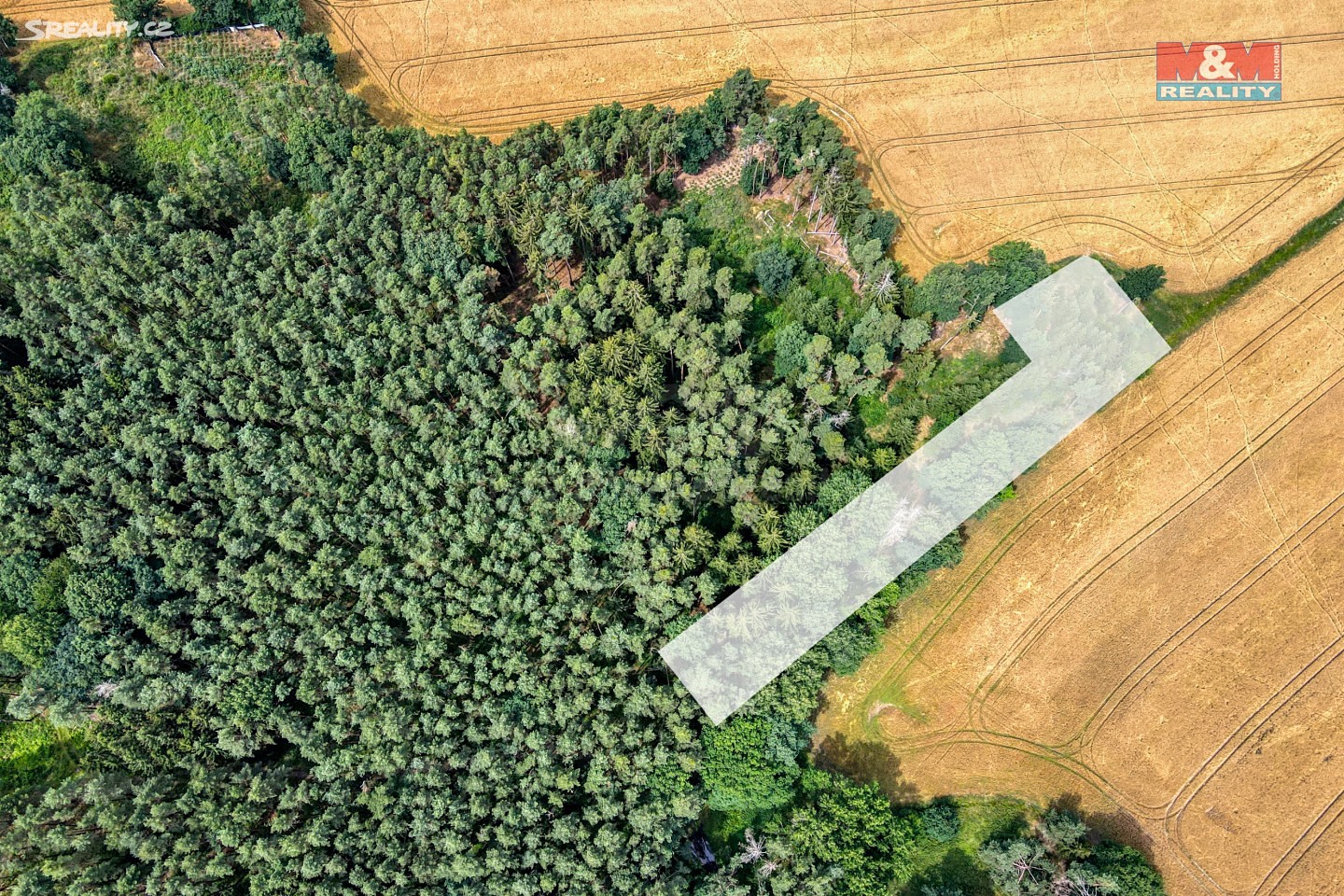 Prodej  lesa 8 784 m², Únějovice, okres Domažlice