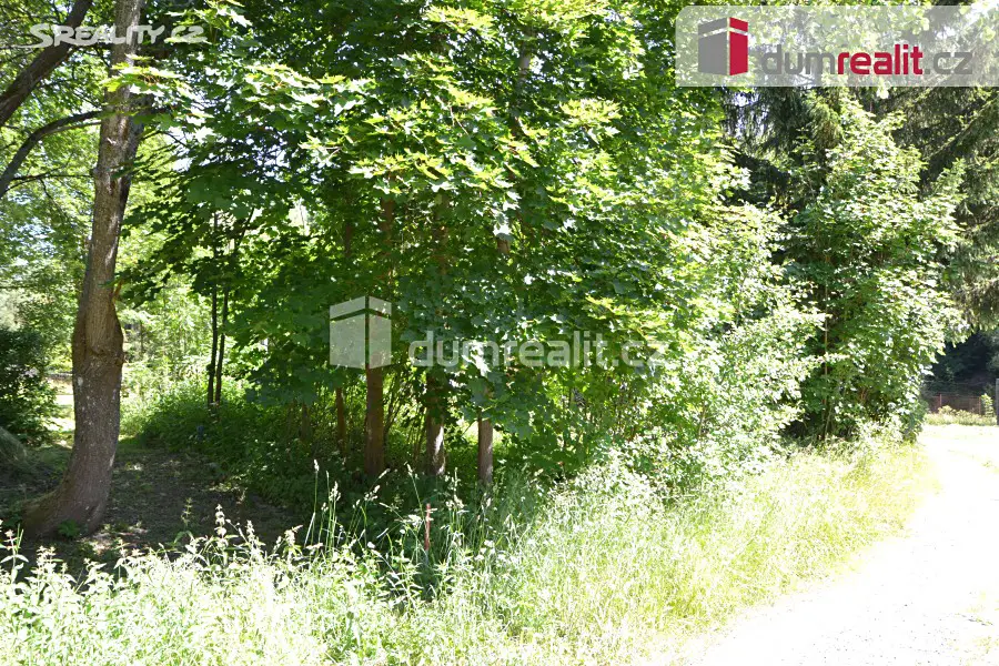 Prodej  komerčního pozemku 1 450 m², Bublava, okres Sokolov