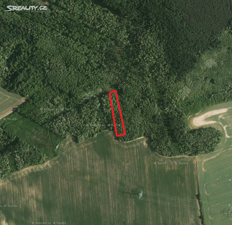 Prodej  lesa 1 392 m², Lesonice, okres Znojmo
