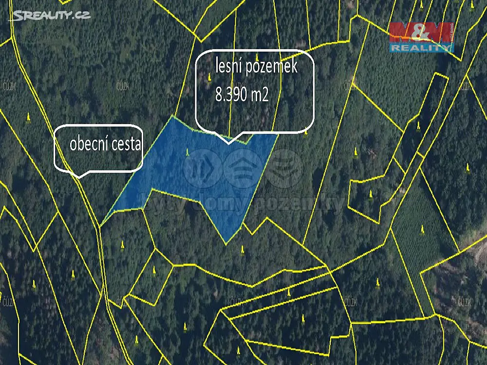 Prodej  lesa 8 390 m², Lhota u Vsetína, okres Vsetín