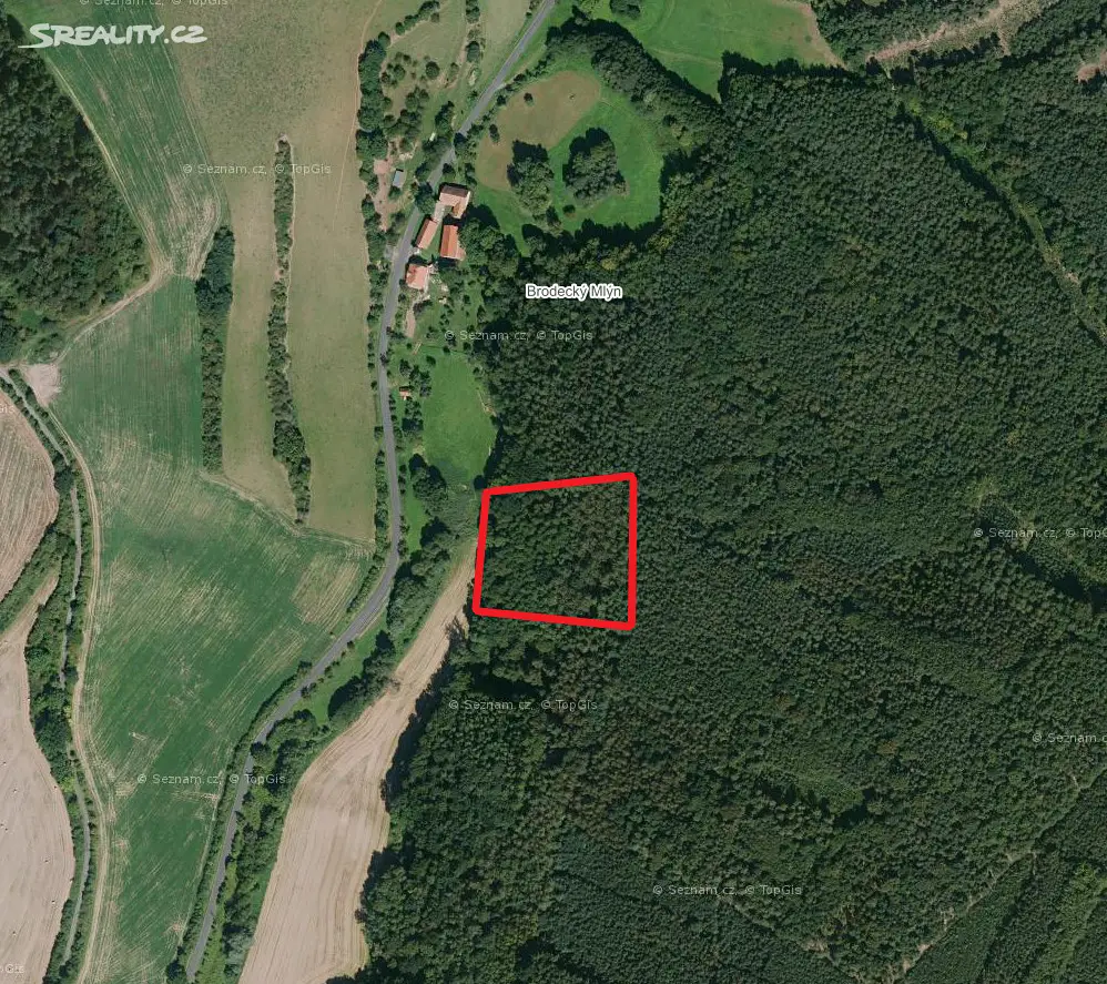 Prodej  lesa 1 345 m², Ročov - Břínkov, okres Louny