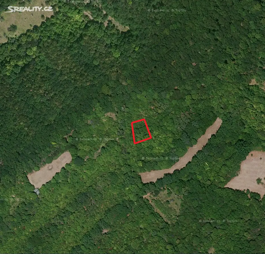 Prodej  lesa 1 421 m², Velemín - Oparno, okres Litoměřice