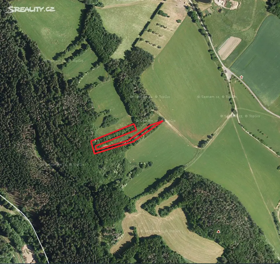 Prodej  lesa 2 919 m², Věžná, okres Žďár nad Sázavou