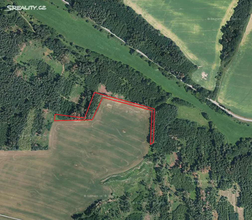 Prodej  lesa 1 082 m², Vratěnín, okres Znojmo