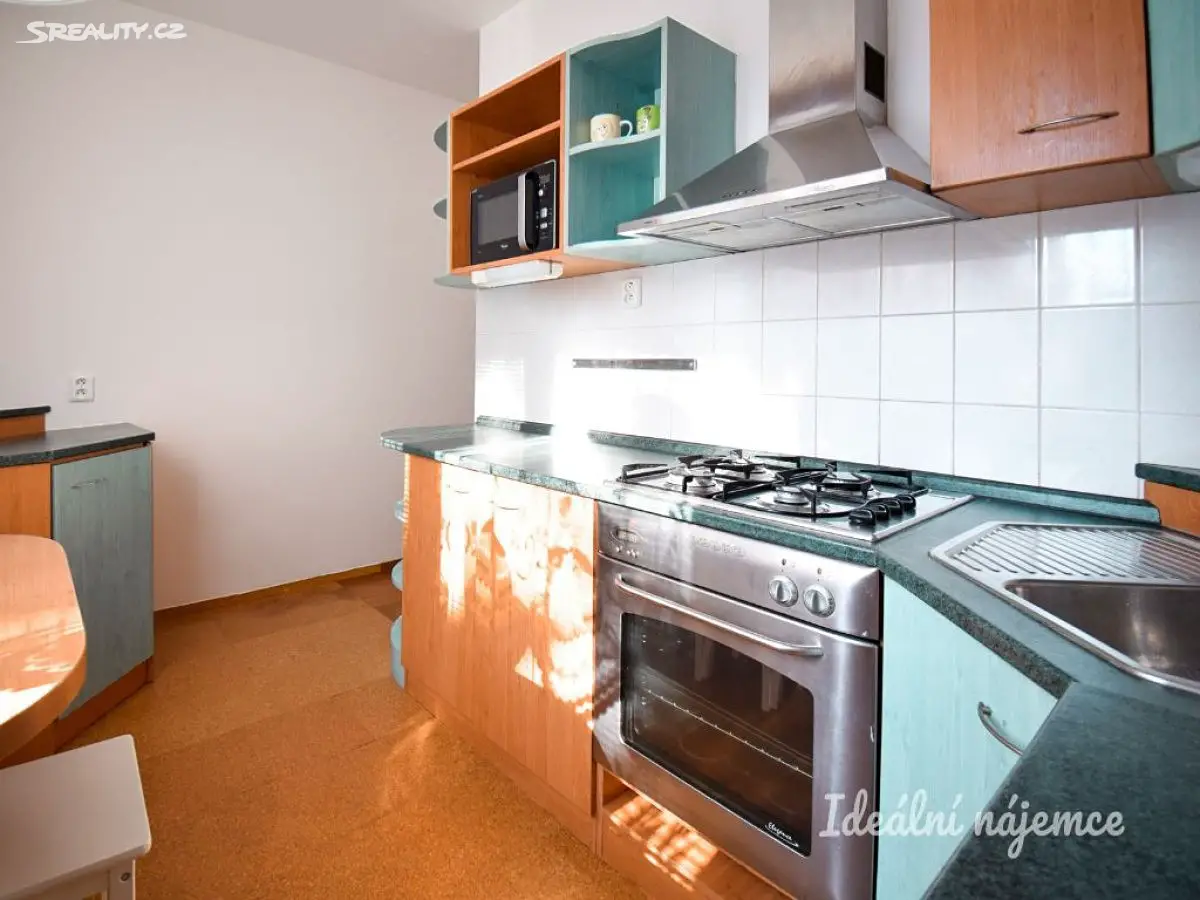 Pronájem bytu 2+1 56 m², Jurkovičova, Brno - Lesná