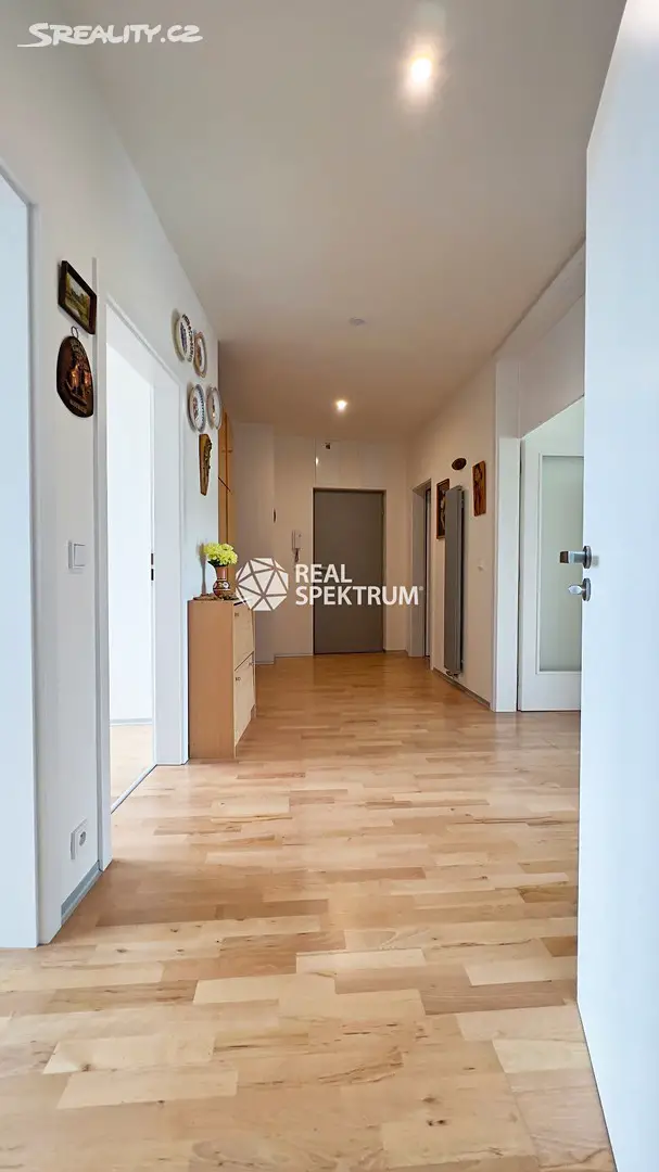 Prodej bytu 3+kk 117 m², Netroufalky, Brno - Bohunice