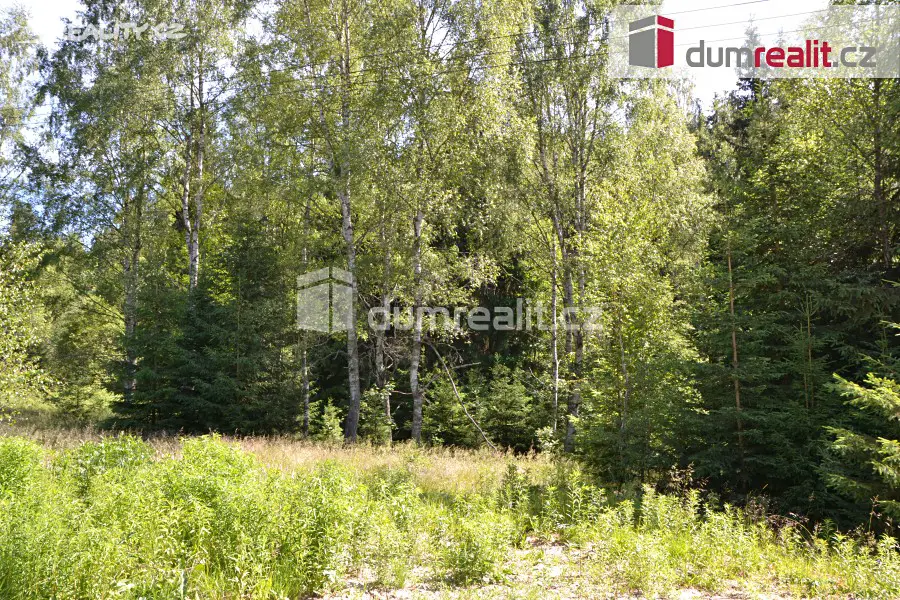 Prodej  stavebního pozemku 1 450 m², Bublava, okres Sokolov