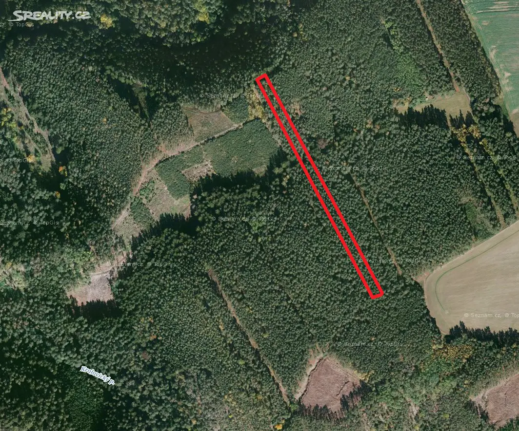 Prodej  lesa 4 762 m², Kozojedy, okres Plzeň-sever