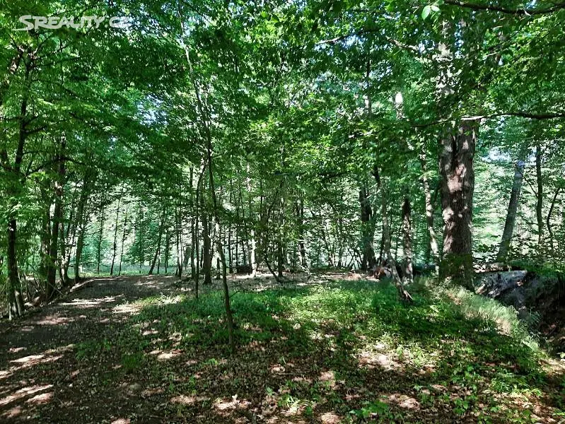 Prodej  lesa 3 075 m², Lobeč, okres Mělník
