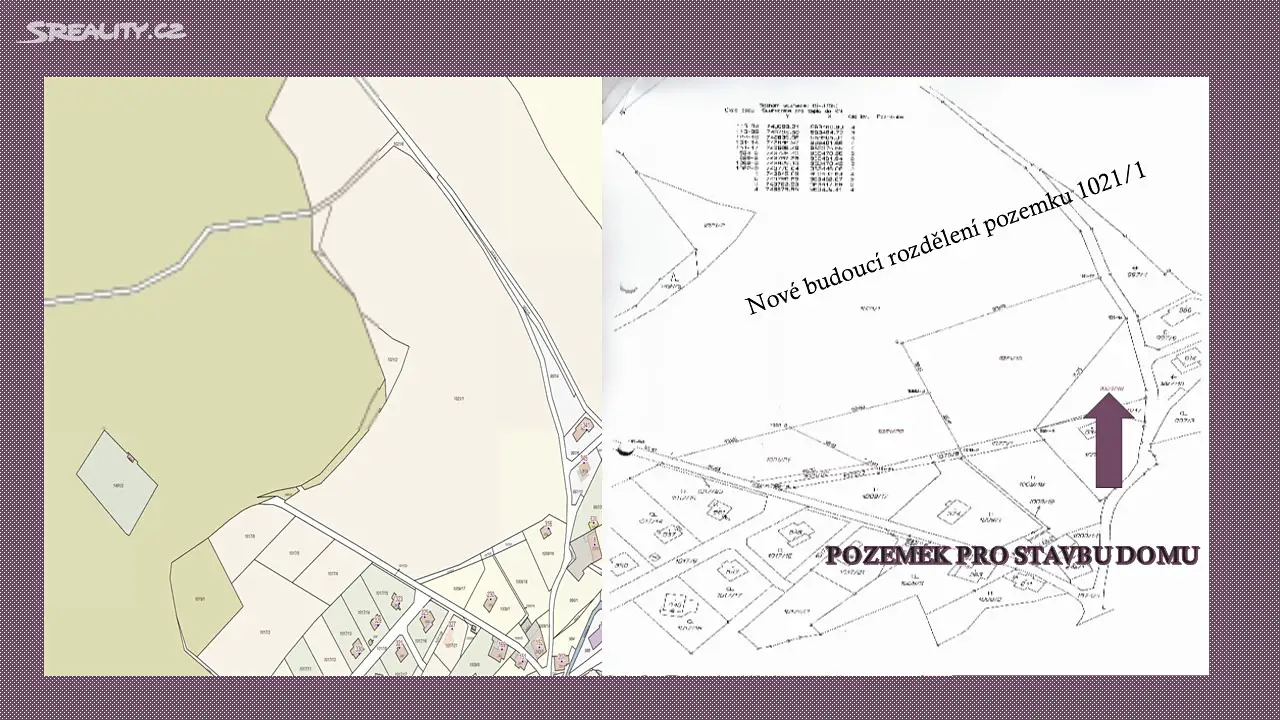 Prodej  pozemku 58 442 m², Ludvíkovice, okres Děčín
