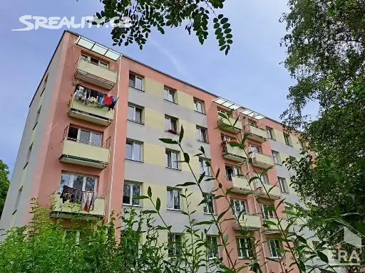 Pronájem bytu 1+1 36 m², Střekovské nábřeží, Ústí nad Labem - Střekov