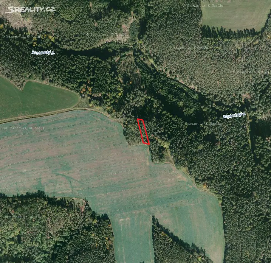Prodej  lesa 640 m², Kočín, okres Plzeň-sever
