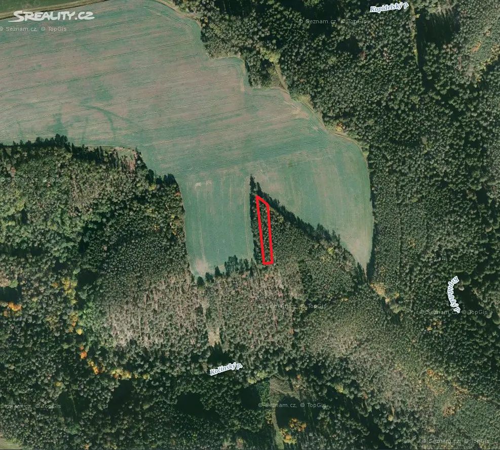 Prodej  lesa 1 509 m², Kočín, okres Plzeň-sever