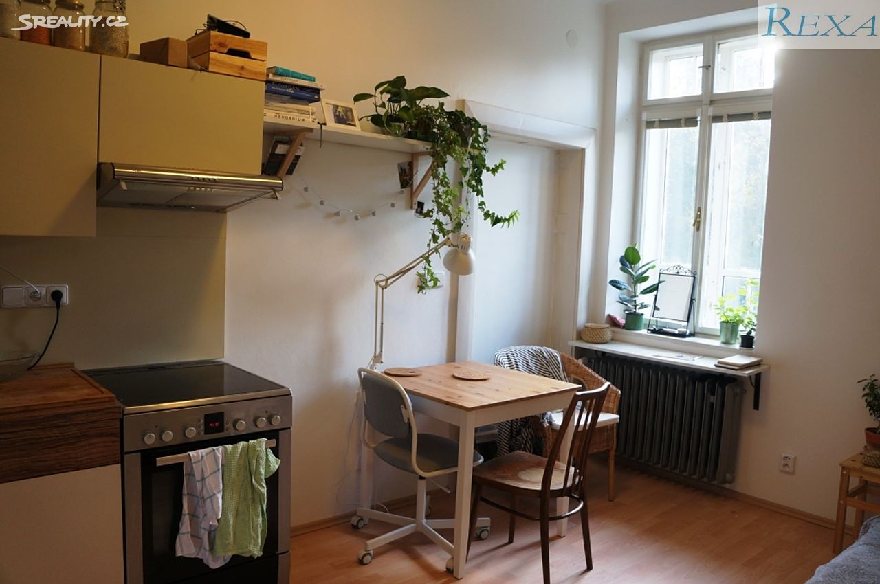 Pronájem bytu 1+kk 24 m², Krondlova, Brno - Stránice