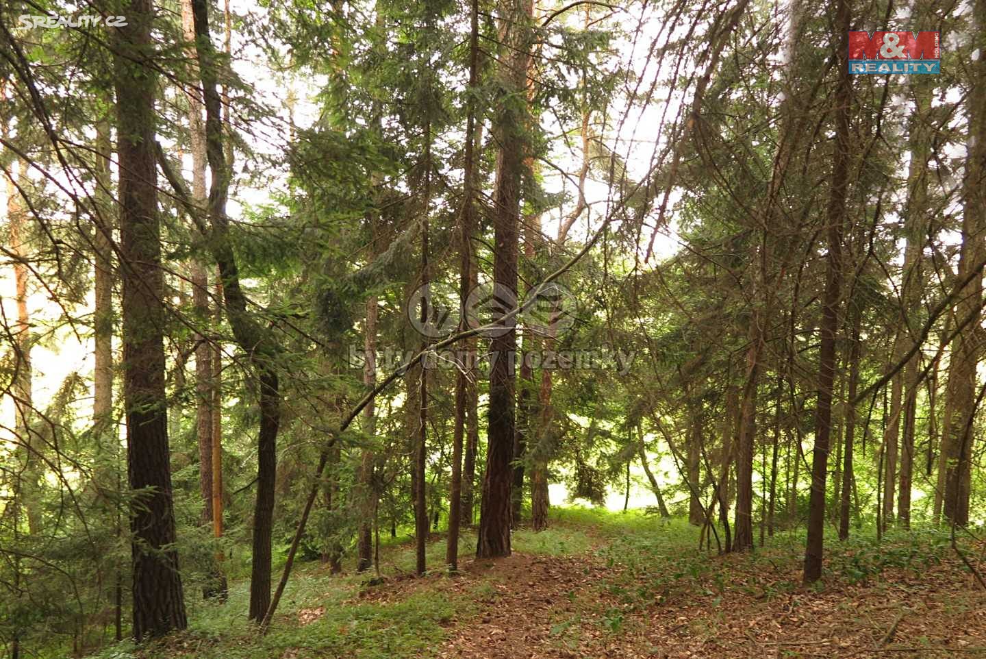 Prodej  lesa 4 275 m², Malé Žernoseky, okres Litoměřice