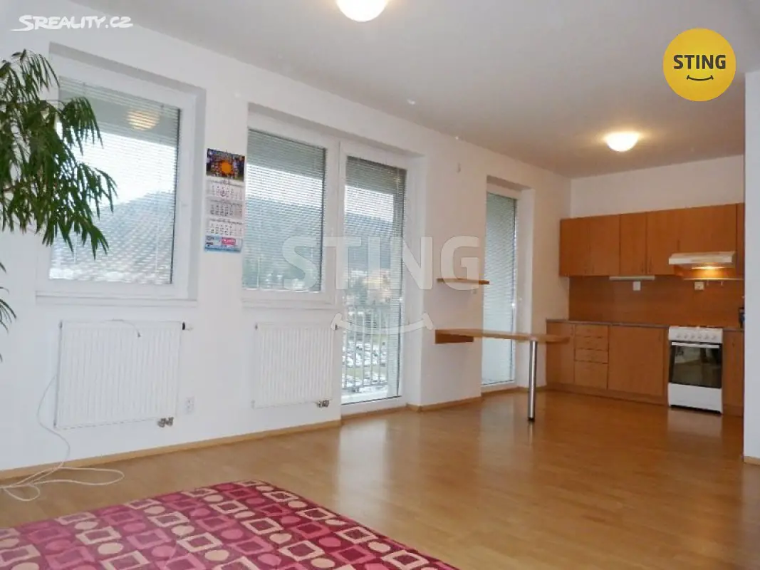 Pronájem bytu 1+kk 42 m², Březnická, Zlín