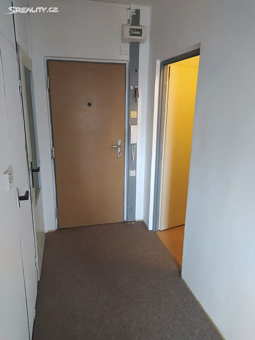 Pronájem bytu 1+1 40 m², Luďka Matury, Pardubice - Studánka