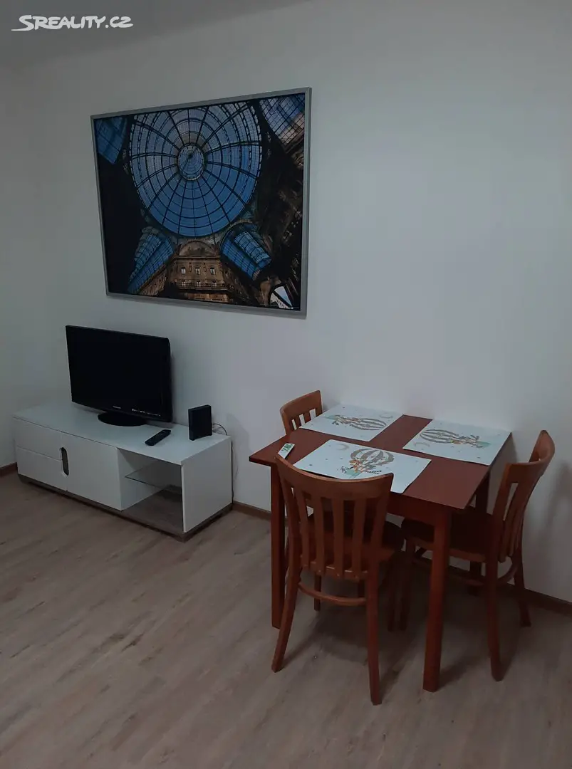 Pronájem bytu 2+kk 36 m², Motýlí, Plzeň - Východní Předměstí