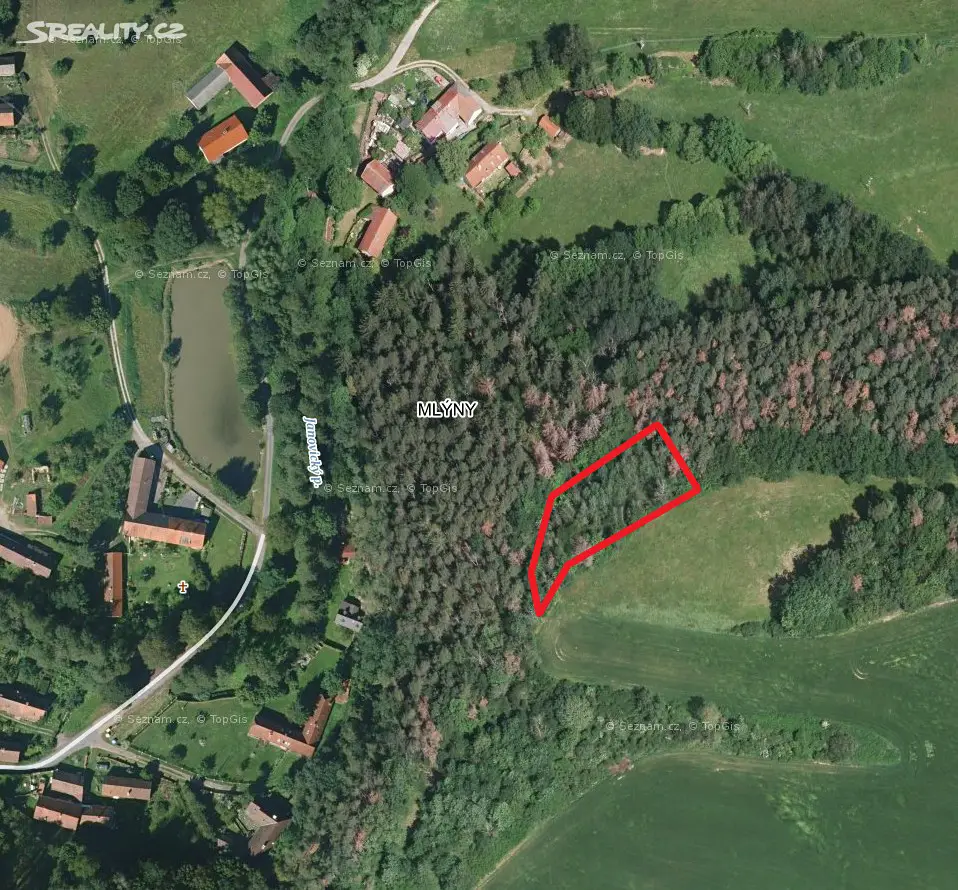 Prodej  lesa 971 m², Bystřice - Tvoršovice, okres Benešov
