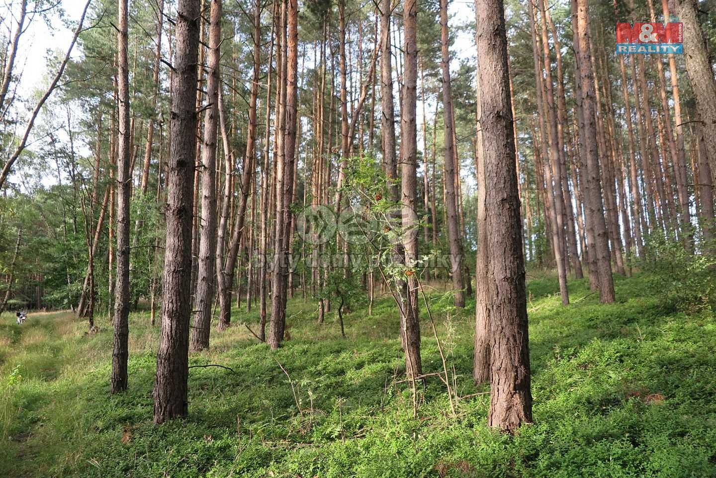 Malé Žernoseky, okres Litoměřice