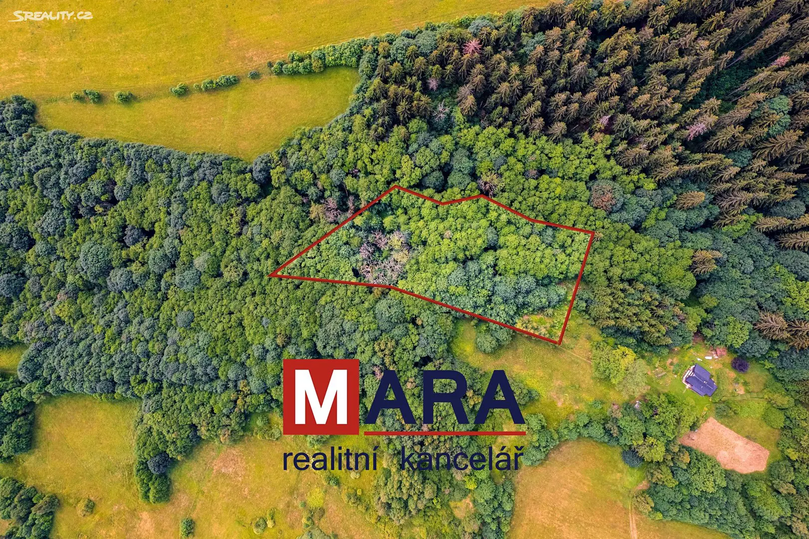 Prodej  lesa 6 080 m², Červená Voda, okres Ústí nad Orlicí