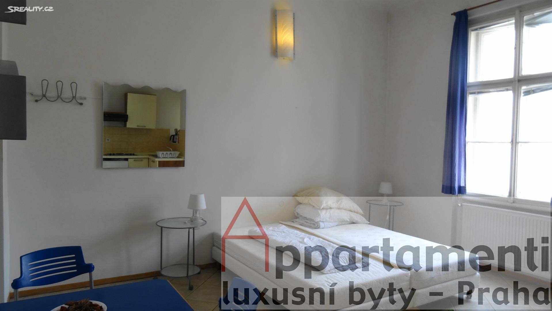 Pronájem bytu 1+kk 26 m², V tůních, Praha 2 - Nové Město