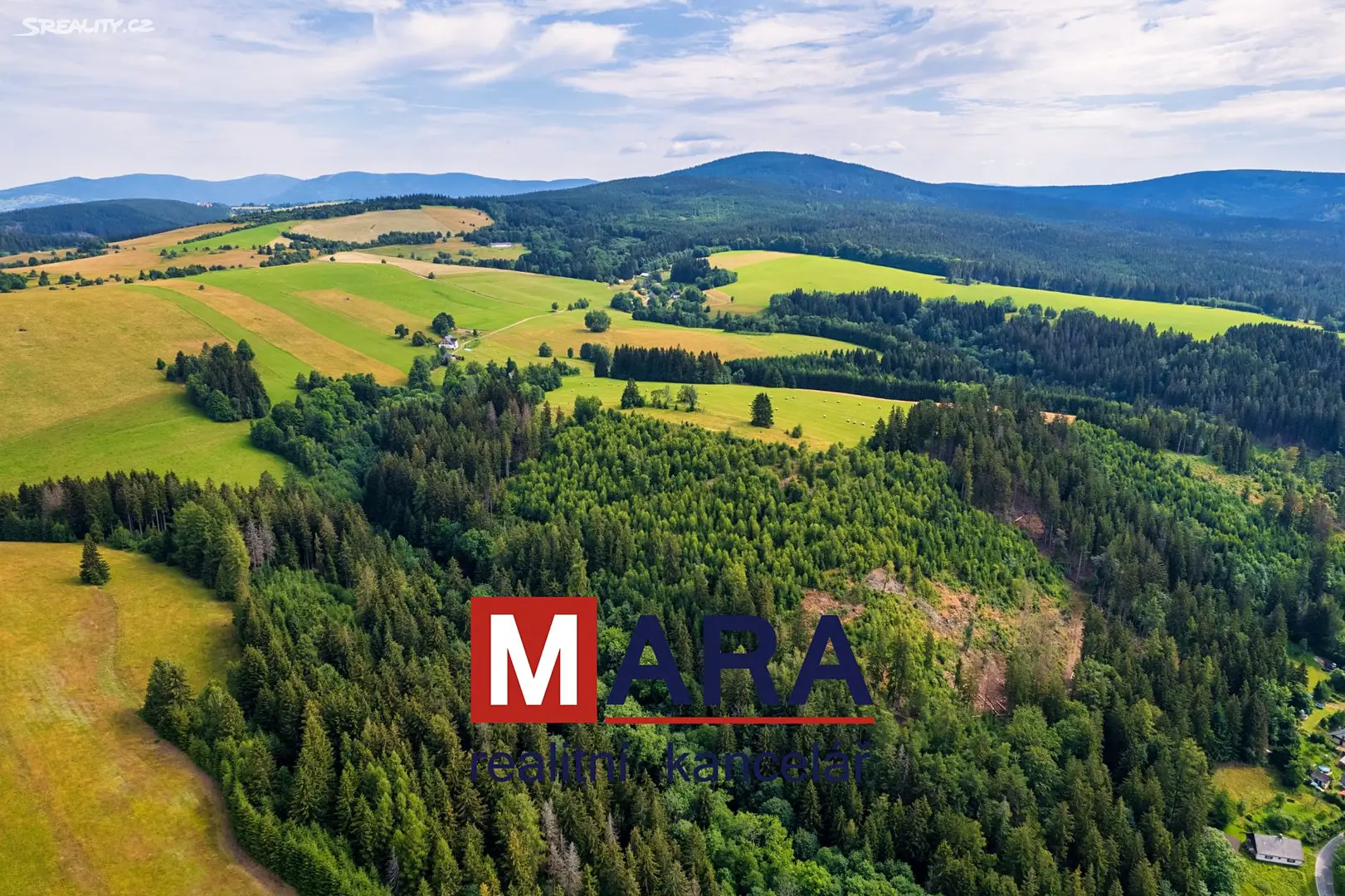 Prodej  lesa 36 232 m², Červená Voda, okres Ústí nad Orlicí