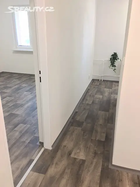 Pronájem bytu 2+1 50 m², Svornosti, Ostrava - Zábřeh