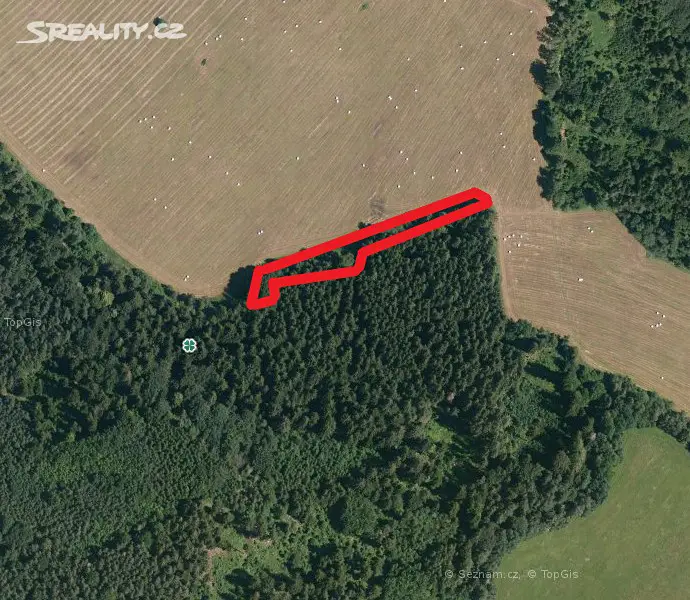 Prodej  lesa 2 123 m², Hořice na Šumavě - Šebanov, okres Český Krumlov
