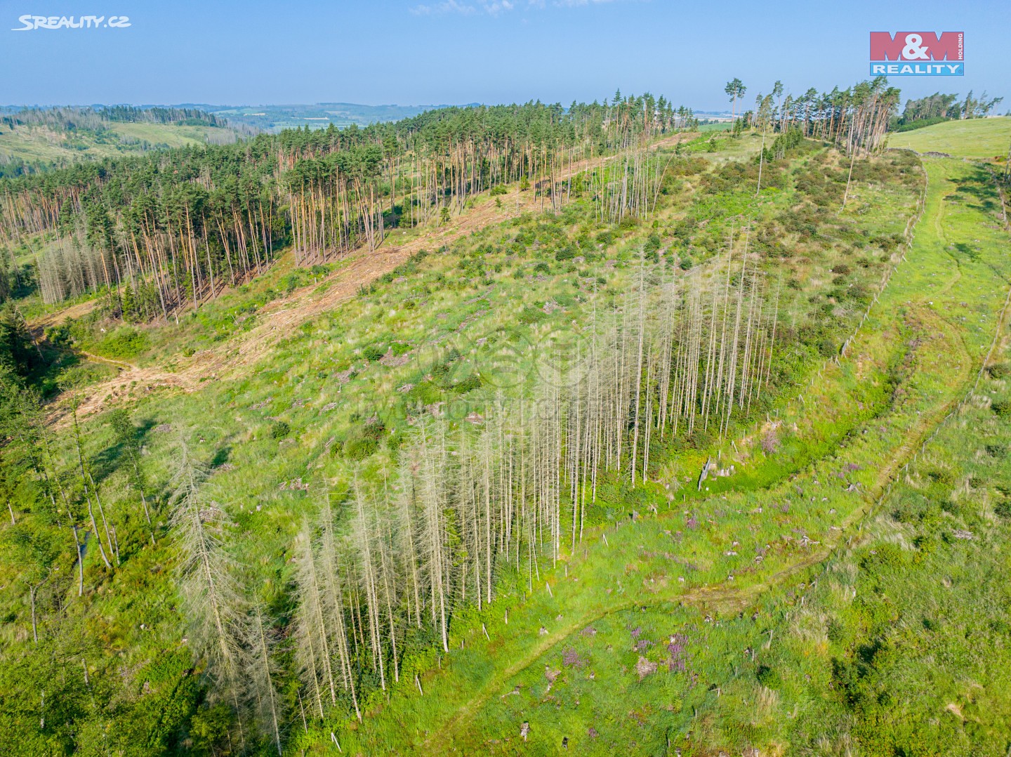 Prodej  lesa 9 609 m², Kouty, okres Třebíč
