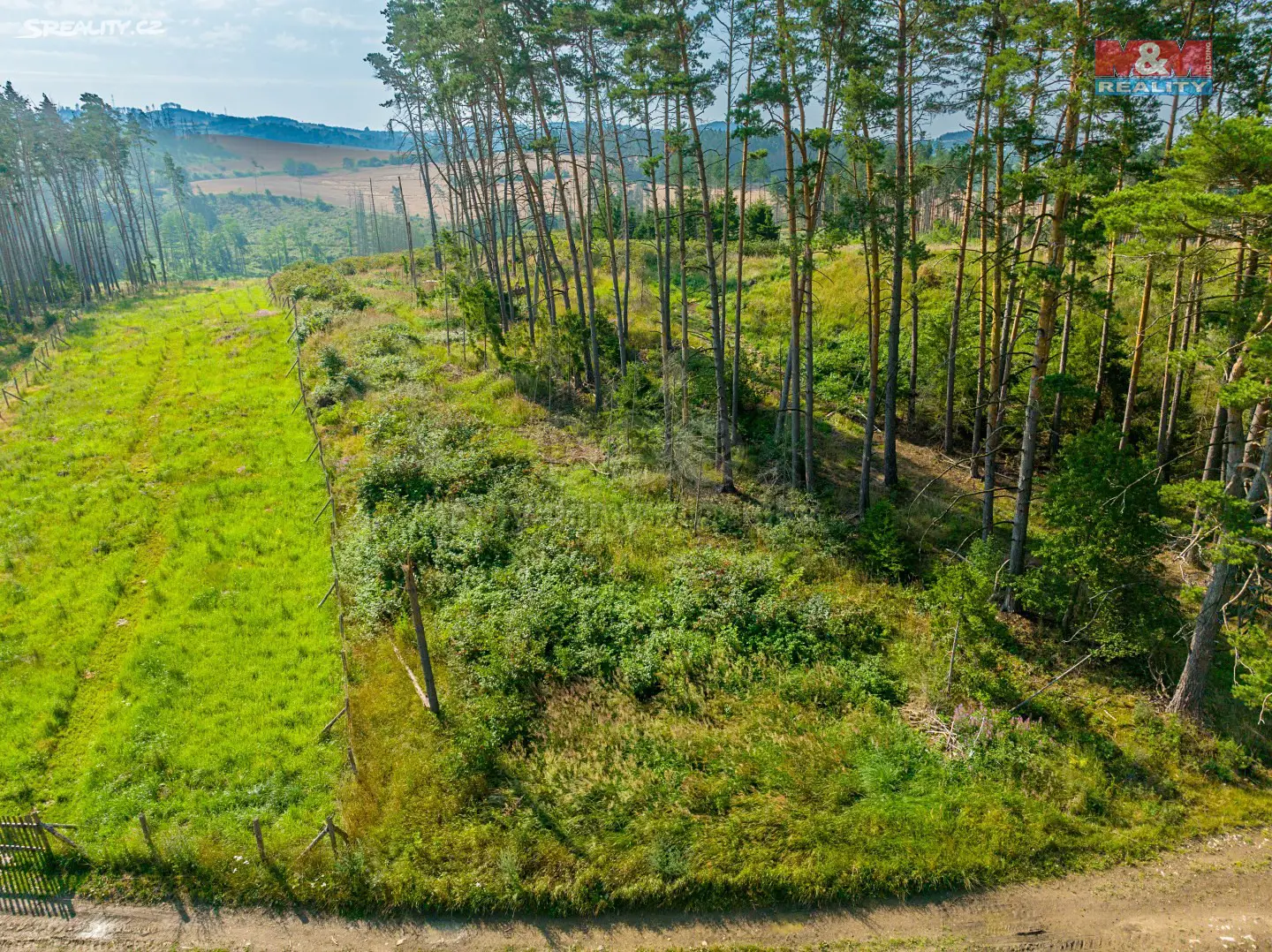 Prodej  lesa 9 609 m², Kouty, okres Třebíč