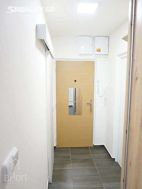 Pronájem bytu 1+1 38 m², Hrušňová, Brno - Medlánky