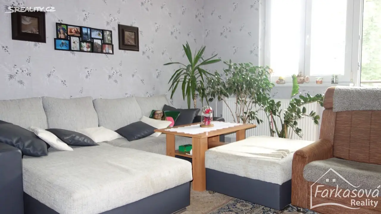 Pronájem bytu 3+1 72 m², Dobrovského, Lanškroun - Žichlínské Předměstí