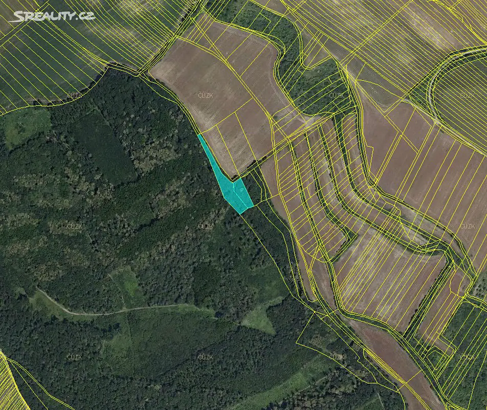 Prodej  lesa 2 315 m², Čejkovice, okres Hodonín