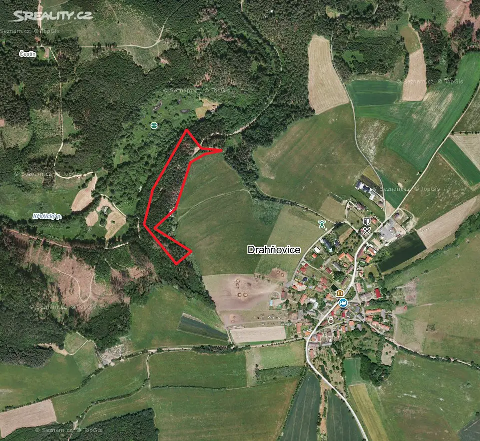 Prodej  lesa 1 067 m², Drahňovice, okres Benešov