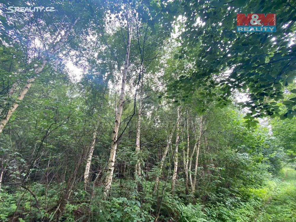 Prodej  lesa 4 599 m², Horní Studénky, okres Šumperk